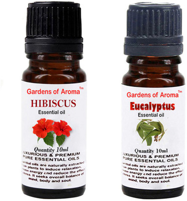 

Gardens Of Aroma Hibiscus And Eucalyptus(20 ml)