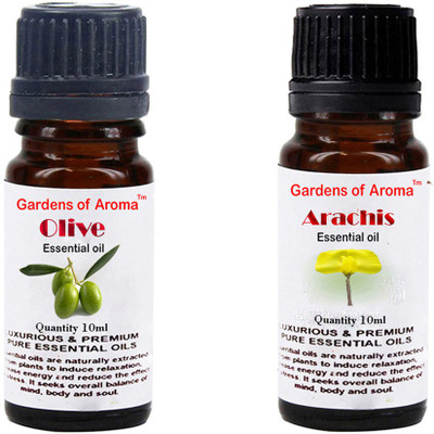 

Gardens Of Aroma Olive And Arachis(20 ml)
