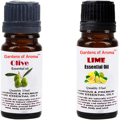 

Gardens Of Aroma Olive And Lime(20 ml)
