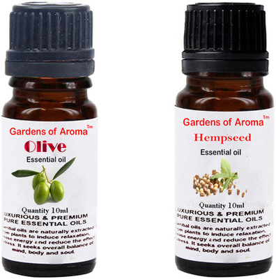 

Gardens Of Aroma Olive And Hepmseed(20 ml)