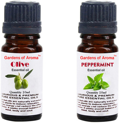 

Gardens Of Aroma Olive And Peppermint(20 ml)