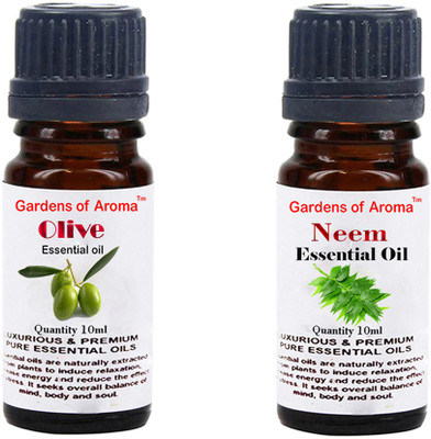 

Gardens Of Aroma Olive And Neem(20 ml)