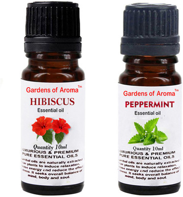 

Gardens Of Aroma Hibiscus And Peppermint(20 ml)
