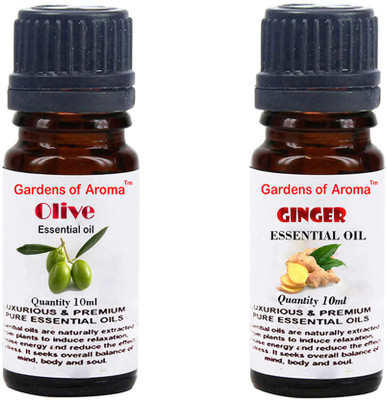 

Gardens Of Aroma Olive And Ginger(20 ml)