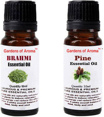 

Gardens Of Aroma Brahmi And Pine(20 ml)