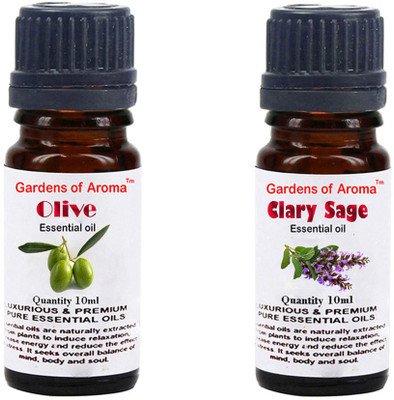

Gardens Of Aroma Olive And Clary sage(20 ml)