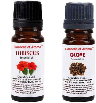 

Gardens Of Aroma Hibiscus And Clove(20 ml)