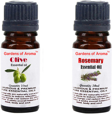 

Gardens Of Aroma Olive And Rosemary(20 ml)