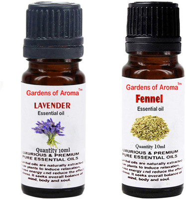 

Gardens Of Aroma Lavender And Fennel(20 ml)
