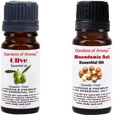 

Gardens Of Aroma Olive And Macadamiea nut(20 ml)