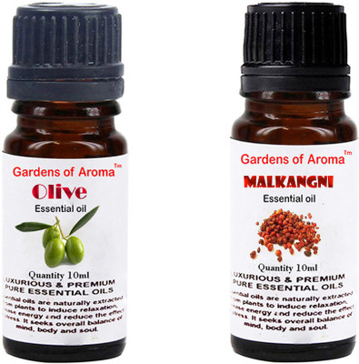 

Gardens Of Aroma Olive And Malkangni(20 ml)