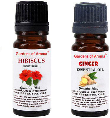 

Gardens Of Aroma Hibiscus And Ginger(20 ml)