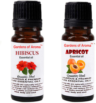 

Gardens Of Aroma Hibiscus And Apricot(20 ml)