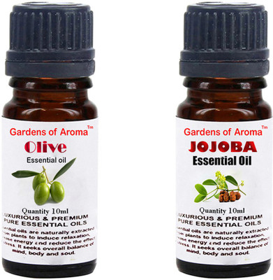 

Gardens Of Aroma Olive And Jojoba(20 ml)