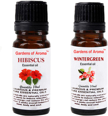 

Gardens Of Aroma Hibiscus And Wintergreen(20 ml)