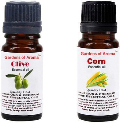 

Gardens Of Aroma Olive And Corn(20 ml)