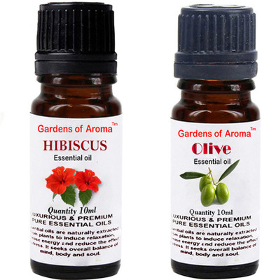 

Gardens Of Aroma Hibiscus And Olive(20 ml)