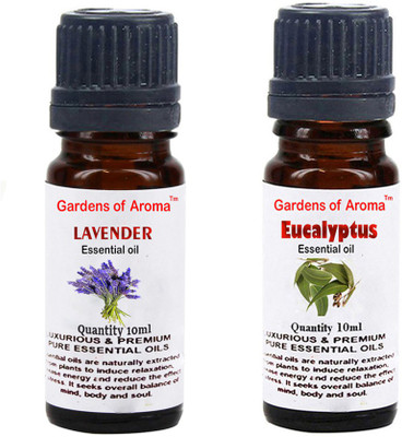 

Gardens Of Aroma Lavender And Eucalyptus(20 ml)