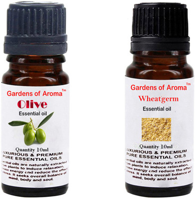 

Gardens Of Aroma Olive And Wheatgerm(20 ml)