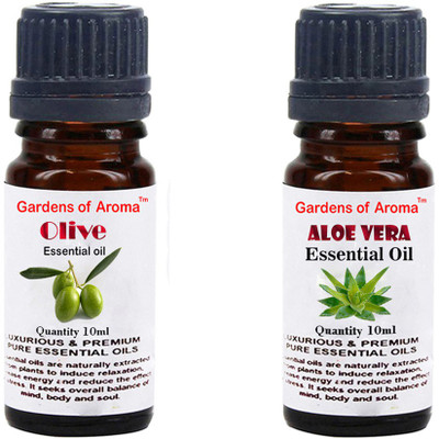

Gardens Of Aroma Olive And Aloe vera(20 ml)
