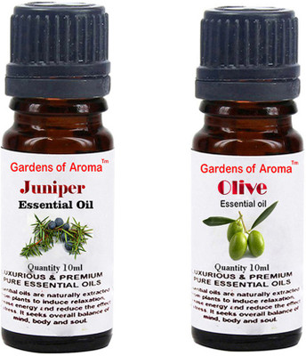 

Gardens Of Aroma Juniper And Olive(20 ml)