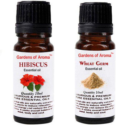 

Gardens Of Aroma Hibiscus And Wheatgerm(20 ml)