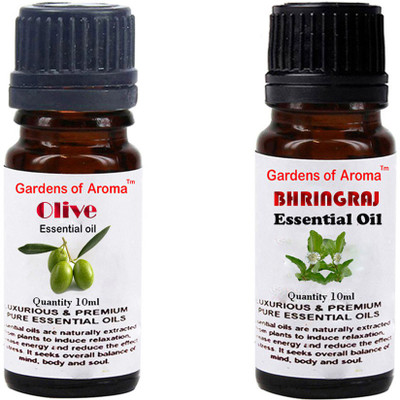 

Gardens Of Aroma Olive And Bhringraj(20 ml)
