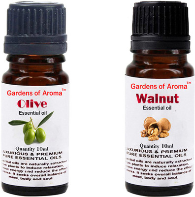 

Gardens Of Aroma Olive And Walnut(20 ml)