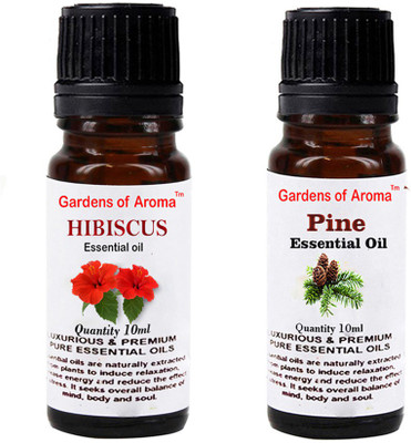 

Gardens Of Aroma Hibiscus And Pine(20 ml)