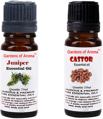

Gardens Of Aroma Juniper And Castor(20 ml)