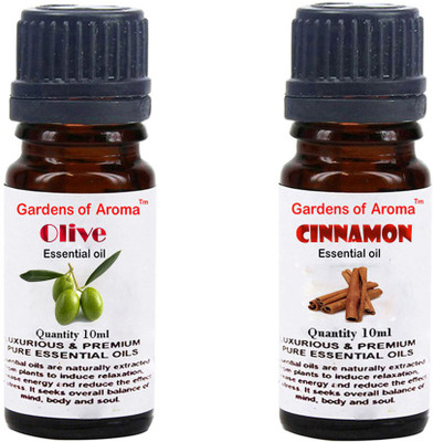 

Gardens Of Aroma Olive And Cinnemon(20 ml)