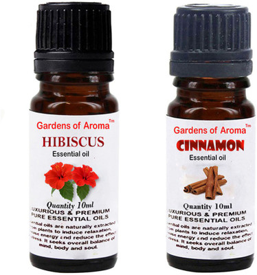 

Gardens Of Aroma Hibiscus And Cinnemon(20 ml)