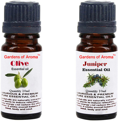 

Gardens Of Aroma Olive And Juniper(20 ml)