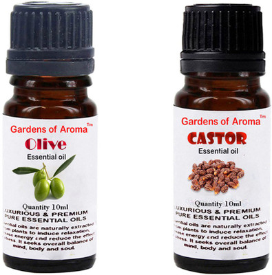 

Gardens Of Aroma Olive And Castor(20 ml)