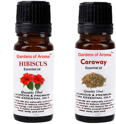 

Gardens Of Aroma Hibiscus And Caraway(20 ml)