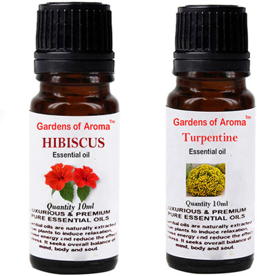 

Gardens Of Aroma Hibiscus And Turpentine(20 ml)
