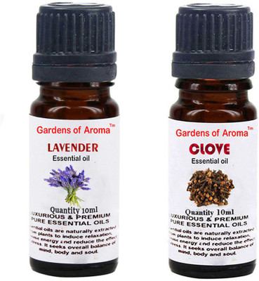 

Gardens Of Aroma Lavender And Clove(20 ml)