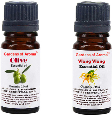 

Gardens Of Aroma Olive And Ylang Ylang(20 ml)