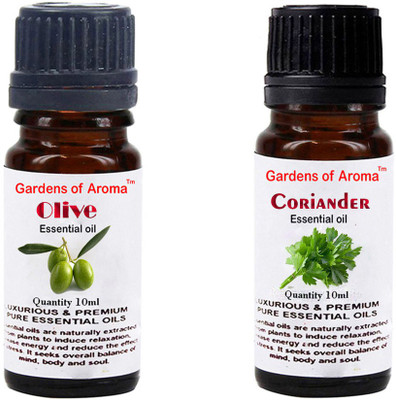 

Gardens Of Aroma Olive And Coriander(20 ml)