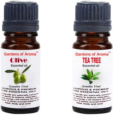 Gardens Of Aroma Olive And Tea tree(20 ml)