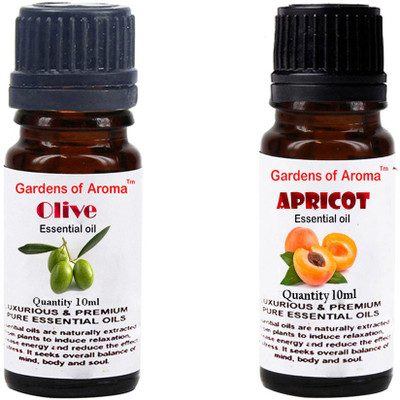 

Gardens Of Aroma Olive And Apricot(20 ml)