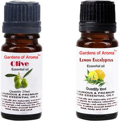 

Gardens Of Aroma Olive And Lemon eucalyptus(20 ml)
