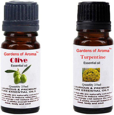 

Gardens Of Aroma Olive And Turpentine(20 ml)