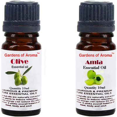 

Gardens Of Aroma Olive And Amla(20 ml)