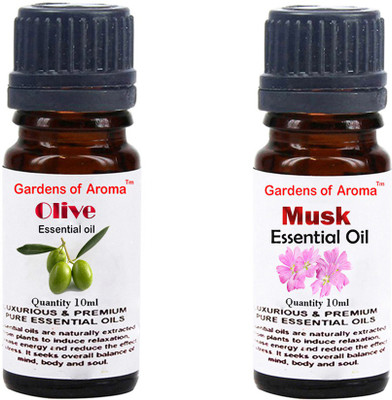 

Gardens Of Aroma Olive And Musk(20 ml)