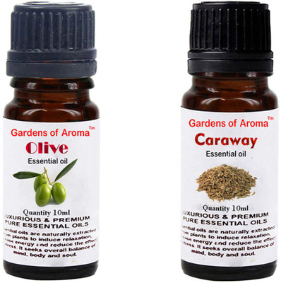 

Gardens Of Aroma Olive And Caraway(20 ml)