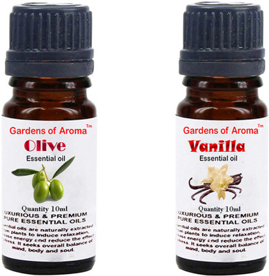 

Gardens Of Aroma Olive And Vanilla(20 ml)