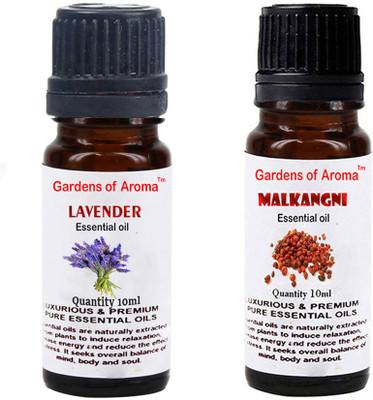 

Gardens Of Aroma Lavender And Malkangni(20 ml)
