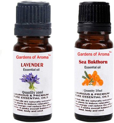 

Gardens Of Aroma Lavender And Seabukthorn(20 ml)