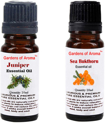 

Gardens Of Aroma Juniper And Seabukthorn(20 ml)